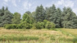 parc de buisson rond